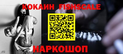 дмт Кингисепп