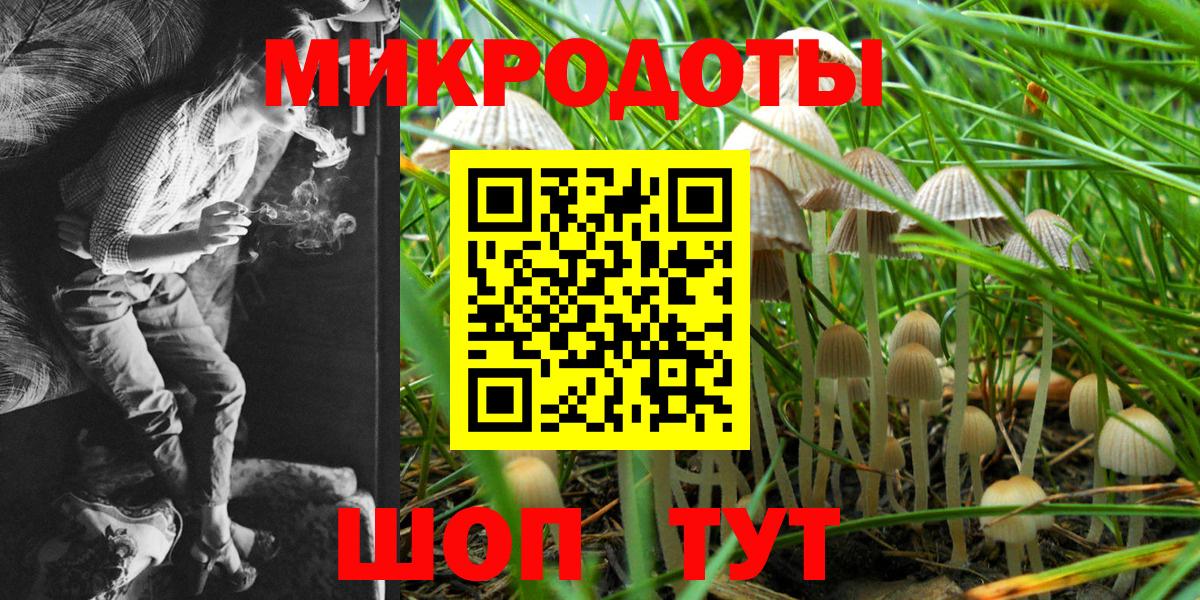 Галлюциногенные грибы Psilocybine cubensis  Вход с VPN  Псилоцибиновые грибы GOLDEN TEACHER  Ленинск-Кузнецкий 